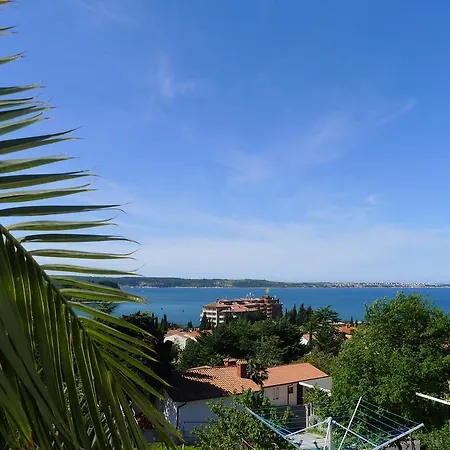 Roma * Portorož