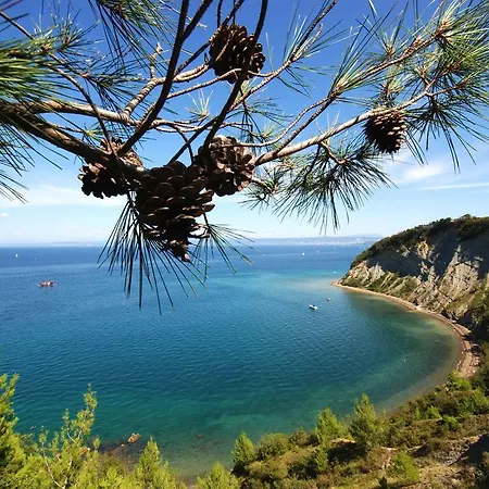 Roma Portorož